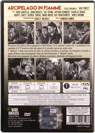 Air Force (Mściwy jastrząb) [DVD]