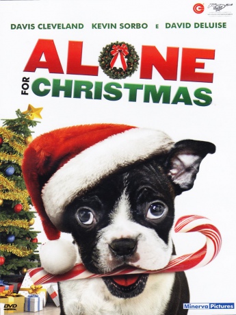 Alone for Christmas [DVD]