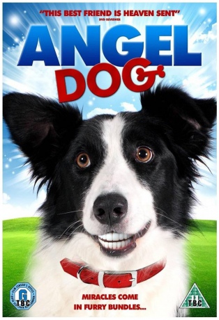 Angel Dog [DVD]
