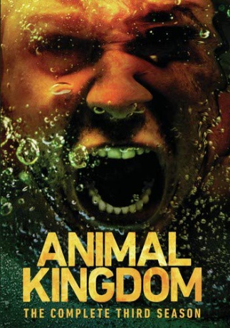 Animal Kingdom: Complete Third Season [DVD]