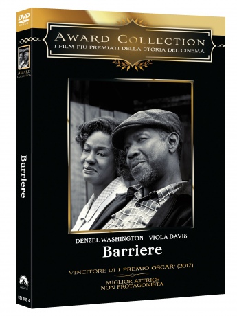 Fences (Płoty) [DVD]