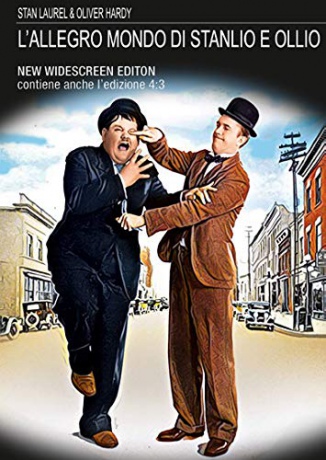 Laurel and Hardy's Laughing 20's [DVD]