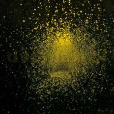 The Antlers: Burst Apart [CD]