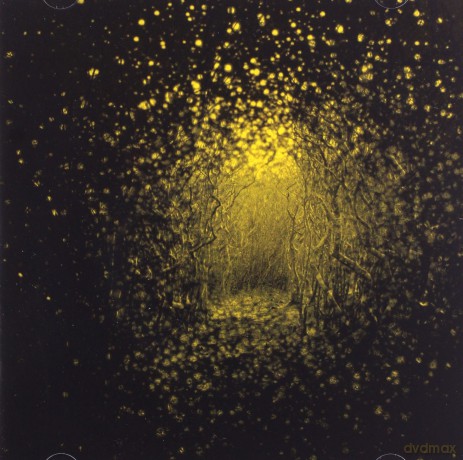 The Antlers: Burst Apart [CD]