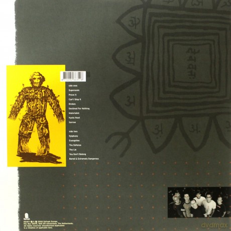 Bad Religion: The Process Of Belief (Limited) [Winyl]