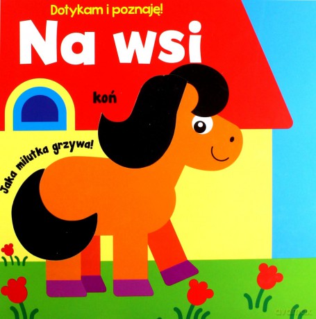 Dotykam i poznaję! Na wsi [KSIĄŻKA]