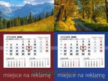 Kalendarz 2020 jednodz. z główką LUX mix [KALENDARZ]