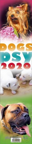 Kalendarz 2020 Paskowy - Psy [KALENDARZ]