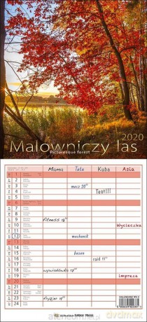 Kalendarz 2020 Wieloplanszowy - Malowniczy las [KALENDARZ]
