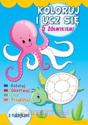 Koloruj i ucz się z żółwikiem [KSIĄŻKA]