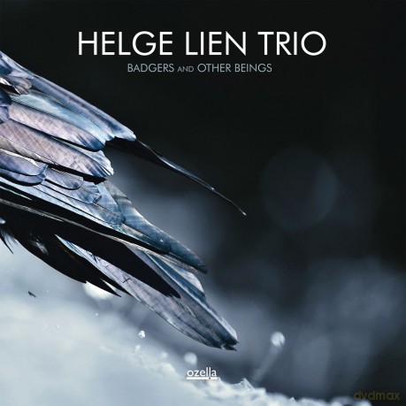 Helge Lien: Badgers And Other Beings [CD]