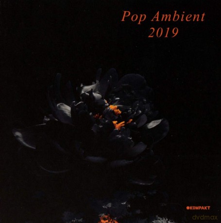 Pop Ambient 2019 [CD]