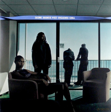 Skunk Anansie: Post Orgasmic Chill [Winyl]
