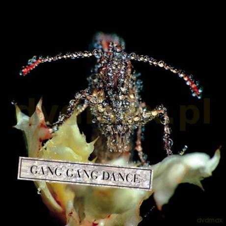 Gang Gang Dance: Eye Contact [CD]