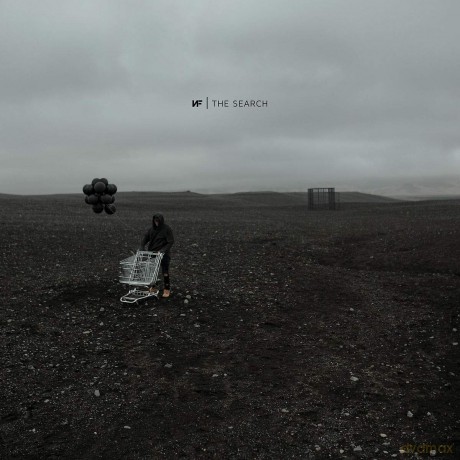 Nf: The Search [Winyl]