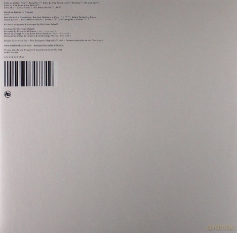 Matthew Halsall: Colour Yes [Winyl]