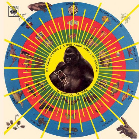 Pedro Santos: Krishnanda [Winyl]