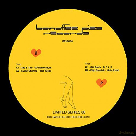 Limited Series 08 [Winyl]