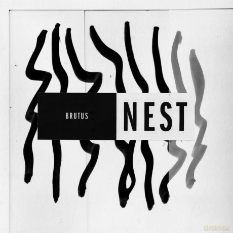 Brutus: Nest [Winyl]