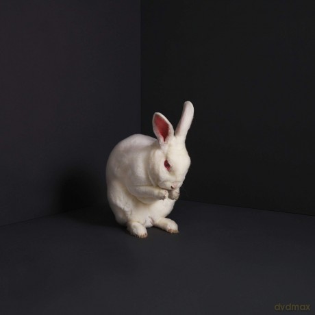Brume: Rabbits [Winyl]