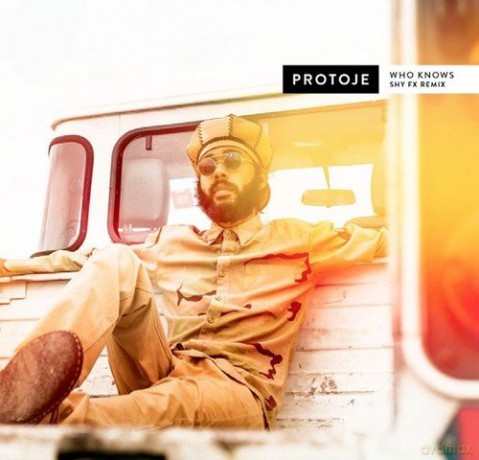Protoje: Who Knows (Shy Fx Remix) [Winyl]