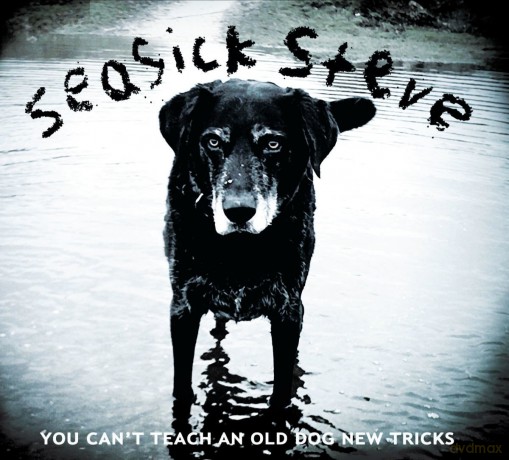 Seasick Steve: You Can't Teach An Old Dog New Tricks [CD]