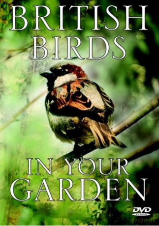 British Birds in Your Garden [DVD]