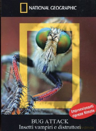 Bug Attack - Insetti Vampiri E Distruttori [DVD]