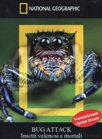 Bug Attack - Insetti Velenosi E Mortali [DVD]