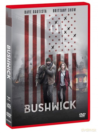 Bushwick [DVD]