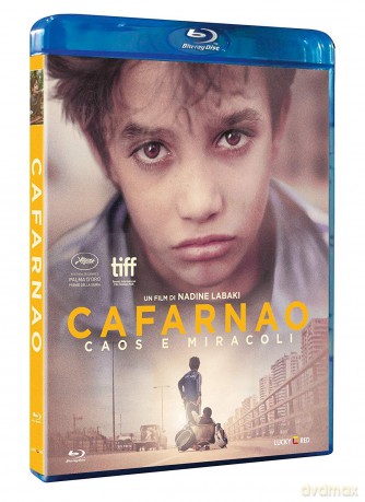 Cafarnao [Blu-Ray]