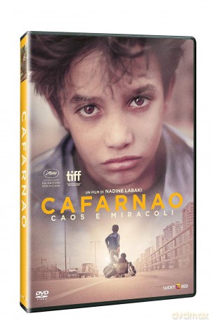 Cafarnao [DVD]