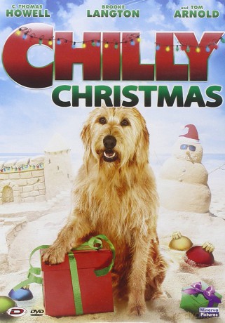 Chilly Christmas [DVD]