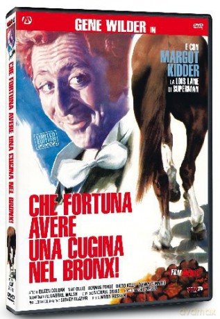 Fun Loving [DVD]