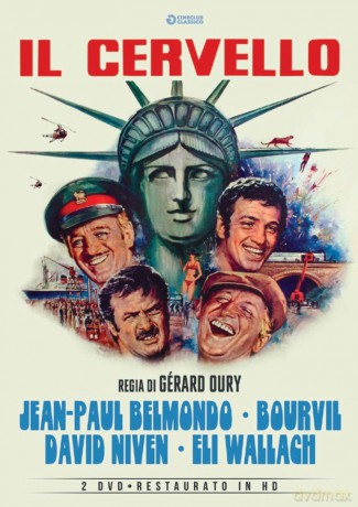 The Brain (Mózg) [DVD]