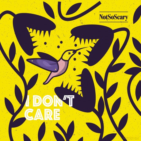 Not So Scary: I Don't Care [CD]