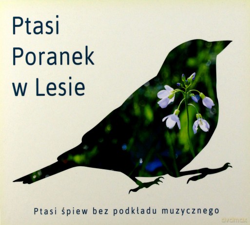 Ptasi Poranek w Lesie [CD]