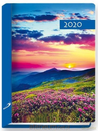 Terminarz 2020 B7 Kolorowy łąka [KALENDARZ]