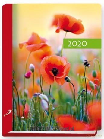 Terminarz 2020 B7 Kolorowy mak [KALENDARZ]