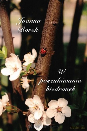 W poszukiwaniu biedronek - Joanna Borek [KSIĄŻKA]