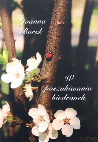 W poszukiwaniu biedronek - Joanna Borek [KSIĄŻKA]
