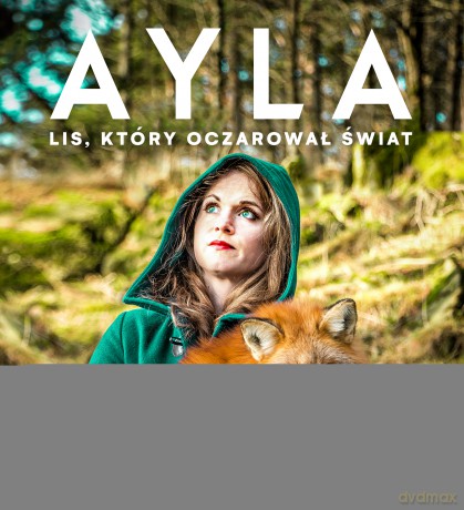 Ayla. Lis, który oczarował świat - Leiv Magnus Grotte, Silje Elin Matnisdal [KSIĄŻKA]