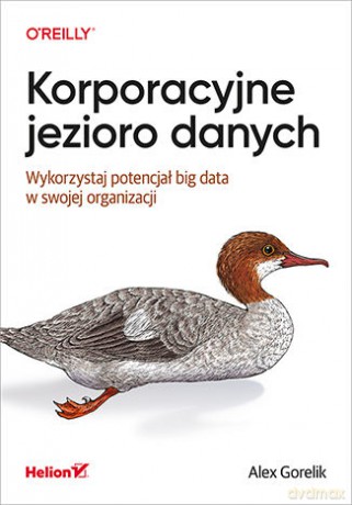 Korporacyjne jezioro danych. Wykorzystaj potencjał Big data w swojej organizacji - Alex Gorelik [KSIĄŻKA]