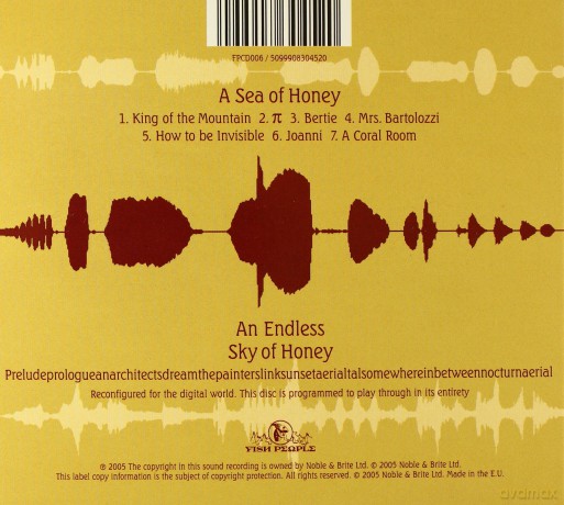 Kate Bush: Aerial (ecopack) [2CD]