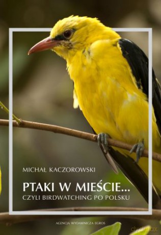 Ptaki w mieście czyli birdwatching po polsku - Michał Kaczorowski [KSIĄŻKA]