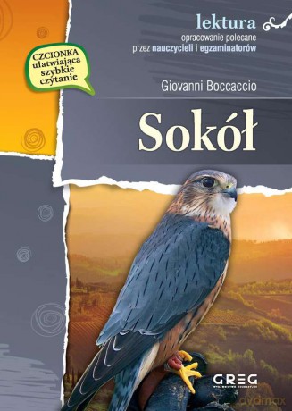 Sokół - Giovanni Boccaccio [KSIĄŻKA]