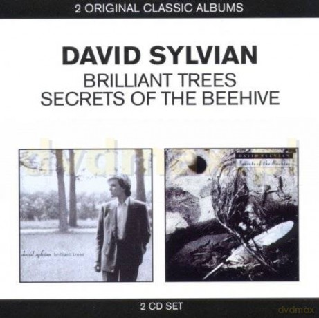 David Sylvian: Brilliant Trees / Secrets Of The Beehive [2CD]