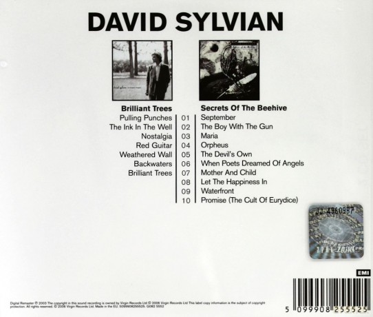 David Sylvian: Brilliant Trees / Secrets Of The Beehive [2CD]
