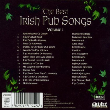 Irish Pub Songs The Best [CD]