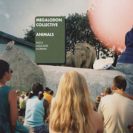 Megalodon Collective: Animals [CD]